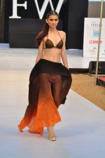 Model walk the ramp for Sounia Gohil Show at IRFW 2012 Day 2 in Goa on 29th Nov 2012 (31).JPG